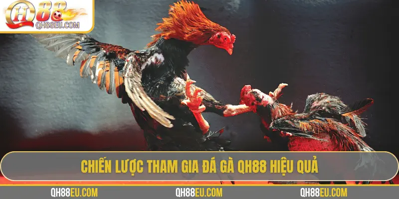 Chiến lược tham gia đá gà QH88 hiệu quả